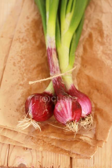 Cebollas rojas frescas - foto de stock