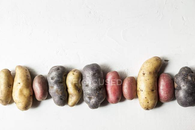 La fila de las patatas distintas frescas - foto de stock