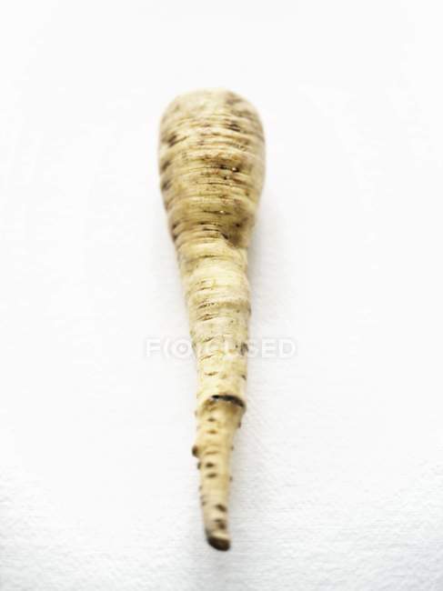A parsnip on a white surface — Stock Photo