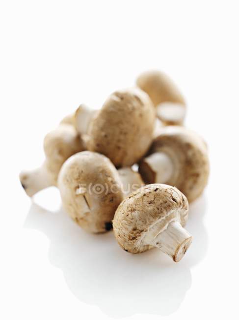 Свежие каштановые грибы — стоковое фото