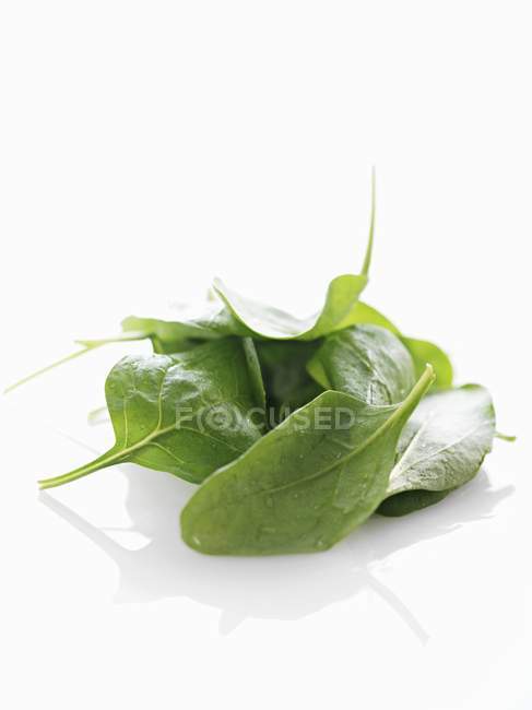 Fresh Baby spinach leaves — Stock Photo