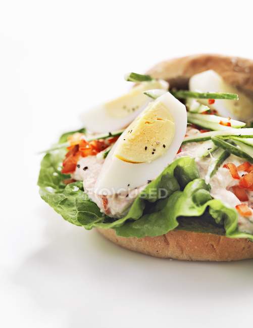 Sandwich de huevo y atún - foto de stock