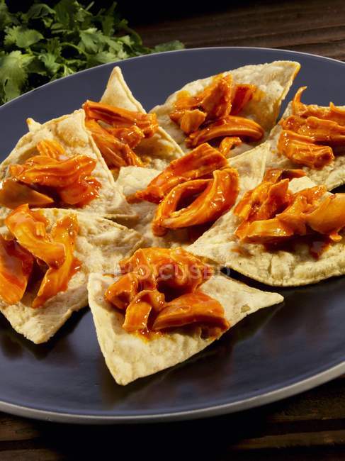 Vista close-up de chips Tortilla com frango puxado em molho Chipotle — Fotografia de Stock