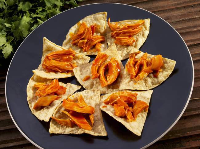 Closeup view of Tortilla chips with pulled chicken in Chipotle sauce — Stock Photo