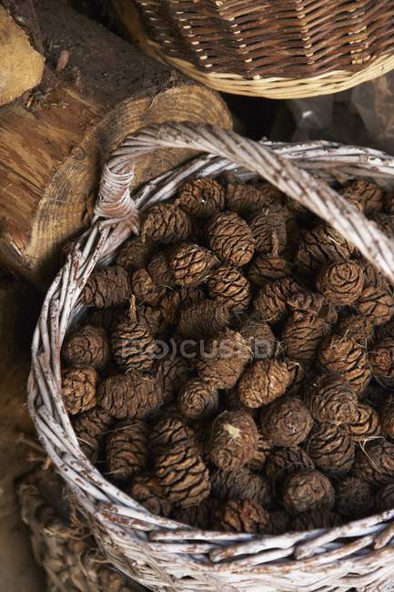 Vue diurne surélevée des cônes de pin dans un panier en osier — Photo de stock