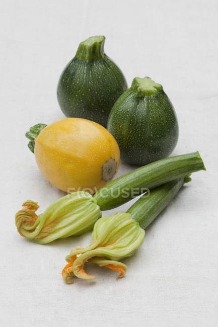 Calabacines redondos verdes y amarillos - foto de stock