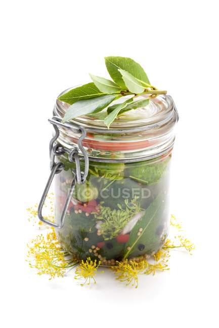 Jar of homemade gherkins — Stock Photo