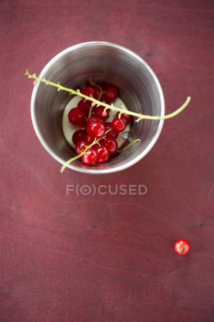Червона смородина в металевій чашці — стокове фото