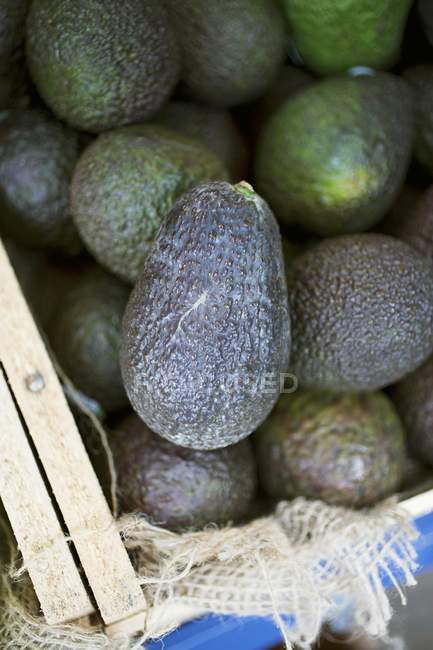 Wooden crate of fresh avocados — Stock Photo