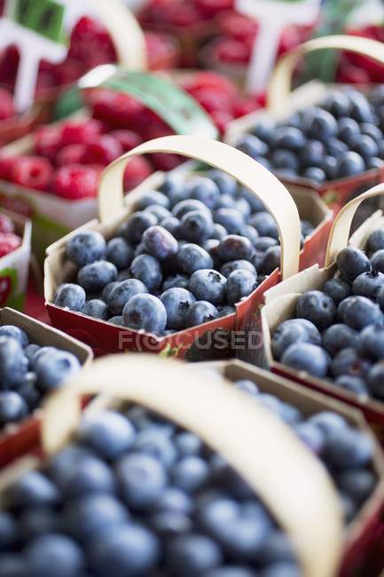 Blueberries and raspberries in punnets — Stock Photo