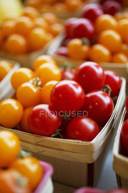 Red and yellow cherry tomatoes — Stock Photo