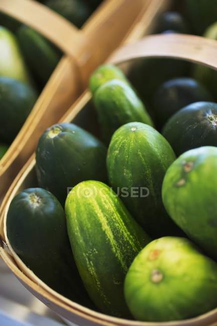 Огірки в дерев'яному кошику — стокове фото