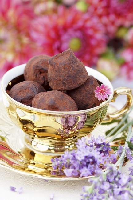 Truffle pralines in cup — Stock Photo