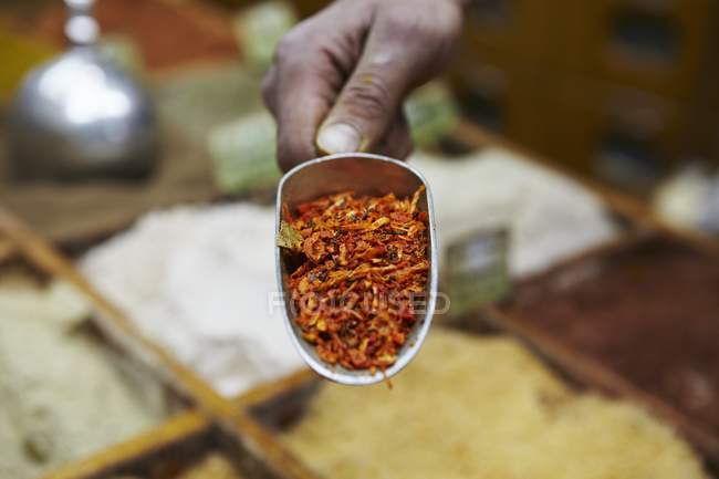 Крупним планом вид на руки, що тримає ложку Kabseh spice змішувати — стокове фото