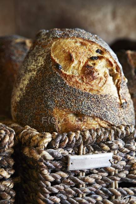 Pão de semente de papoula na cesta — Fotografia de Stock