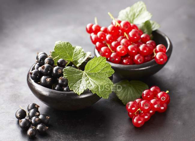 Blackcurrants and redcurrants in bowls — Stock Photo