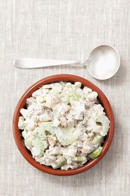 Grilled chicken with celery and mayonnaise spread — Stock Photo