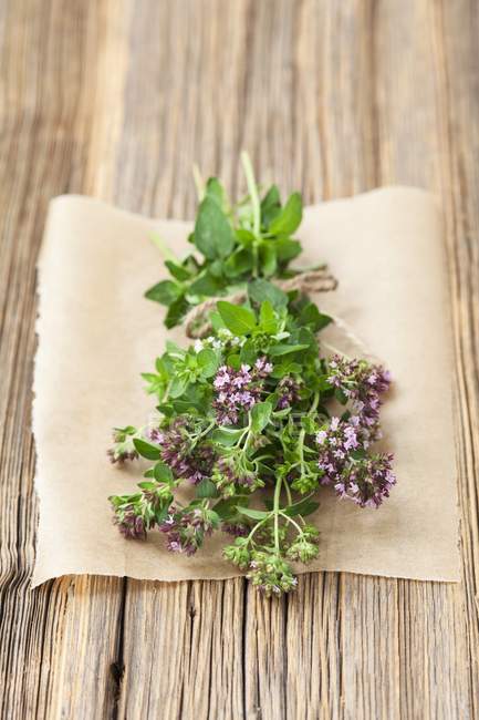 Bouquet d'origan biologique frais — Photo de stock