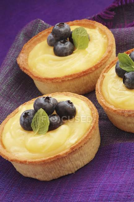 Lemon tartlets with fresh blueberries — Stock Photo