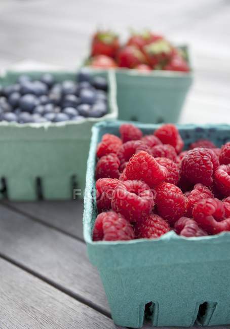 Fresh berries in paper punnets — Stock Photo