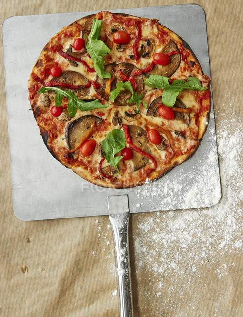 Vegetable pizza with tomatoes — Stock Photo