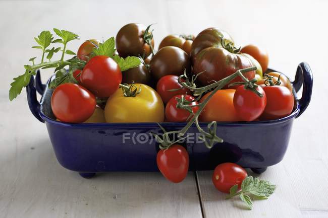 Свіжі стиглих помідорів — стокове фото