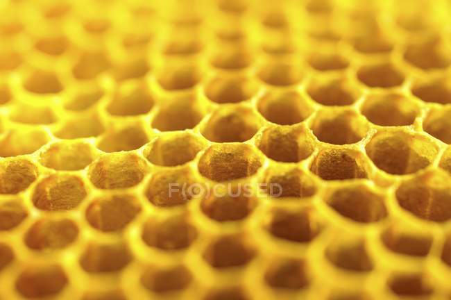 Schmackhafter goldener Honig — Stockfoto