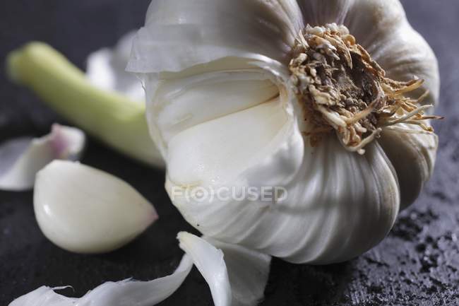 Bulb of fresh garlic — Stock Photo