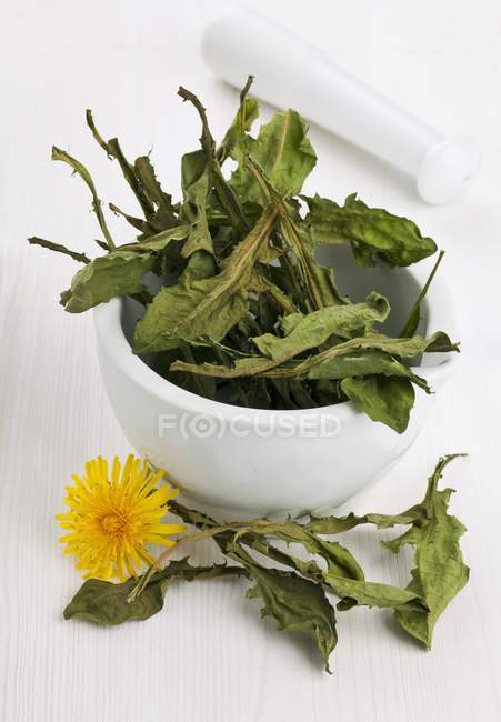 Dried dandelion leaves in a mortar — Stock Photo