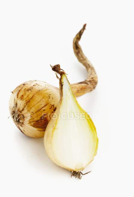 Close up of  Pearl onions — Stock Photo