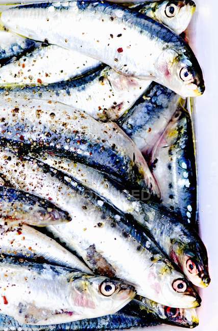 Fresh sardines with olive oil — Stock Photo