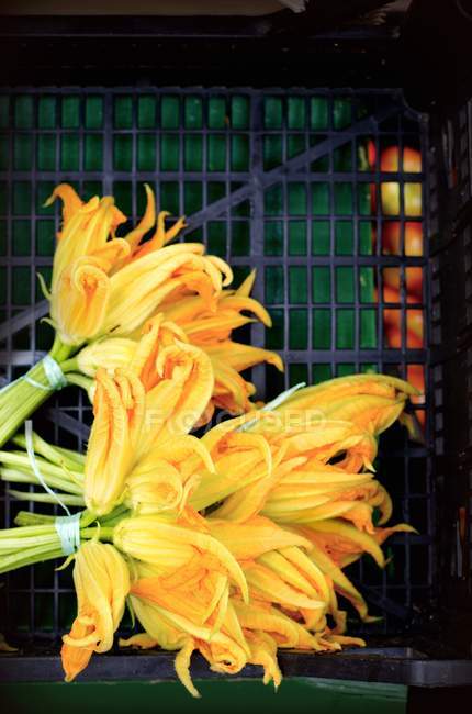 Bunches of courgette flowers — Stock Photo