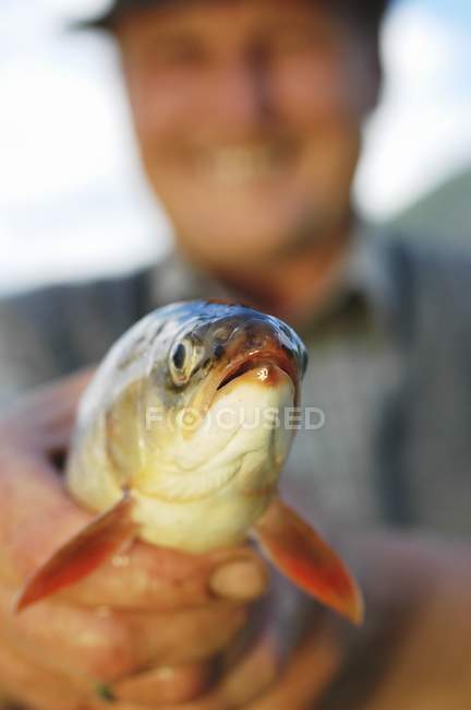 Primo piano vista di un uomo che tiene un pesce salmerino — Foto stock