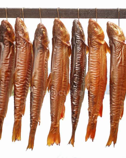 Closeup view of smoked Arctic char fish hanging in a row — Stock Photo