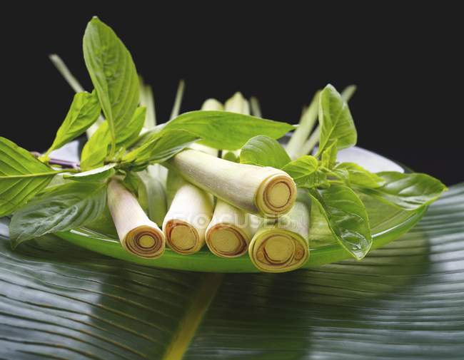 Fresh lemongrass and Thai basil — Stock Photo