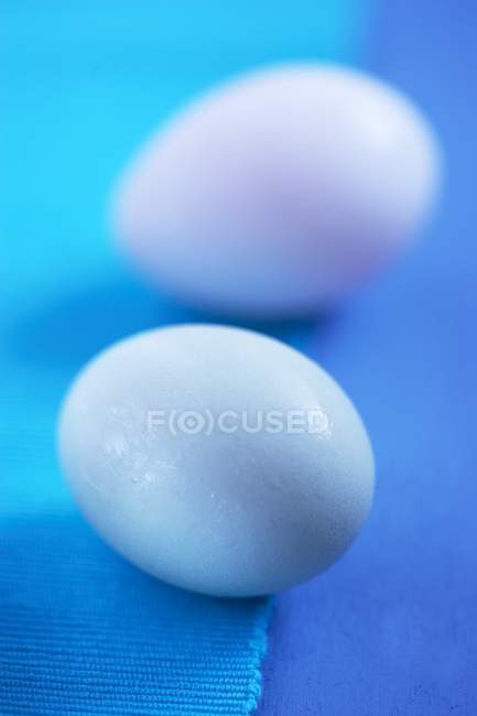 Huevos de pato blanco - foto de stock
