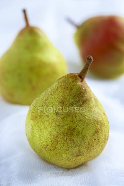 Freshly washed pears — Stock Photo