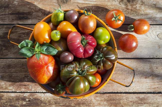 Varios tomates coloridos - foto de stock