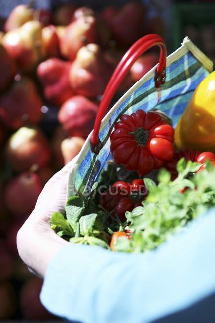 Tomates y hierbas frescas en una bolsa de compras a cuadros - foto de stock