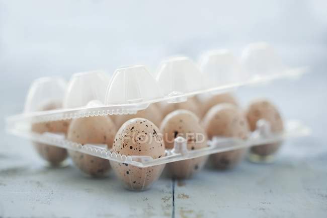 Œufs dans une boîte à œufs en plastique — Photo de stock