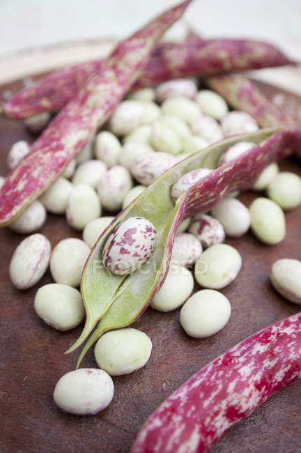 Fresh Borlotti beans with pods — Stock Photo