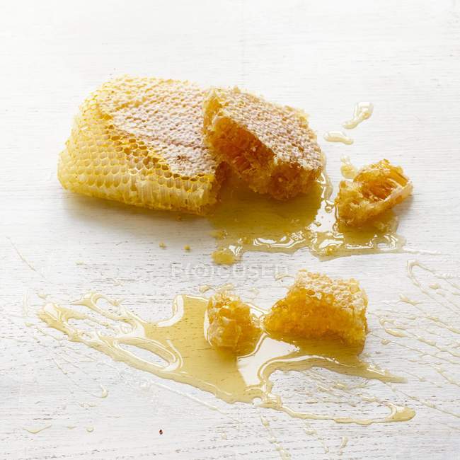 Tasty golden honeycomb — Stock Photo