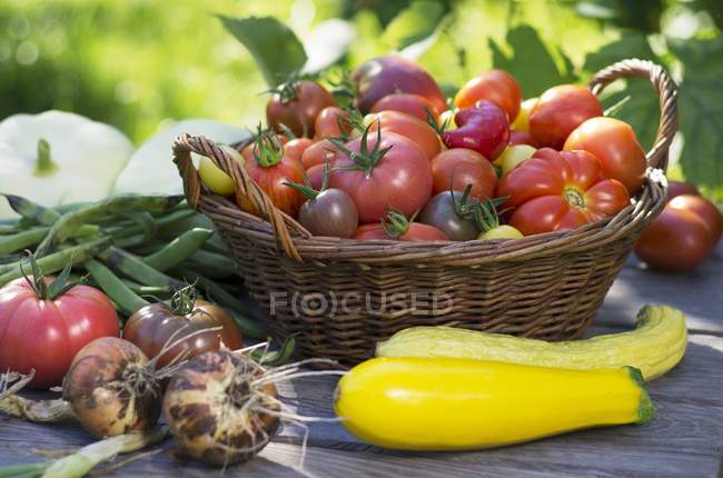 A high summer vegetable harvest in a garden outdoors — Stock Photo