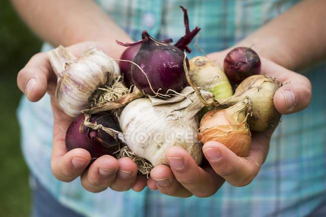 Woman holding onions and garlic — Stock Photo