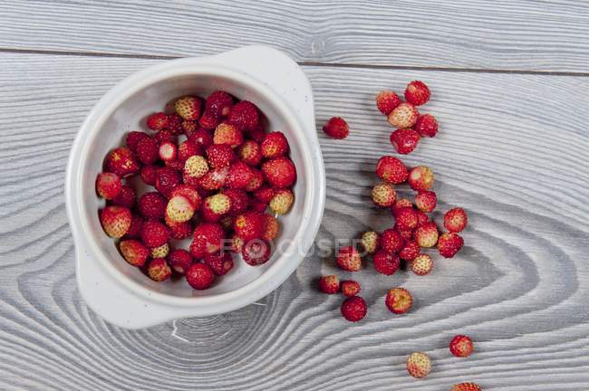 Tazón de fresas silvestres frescas - foto de stock