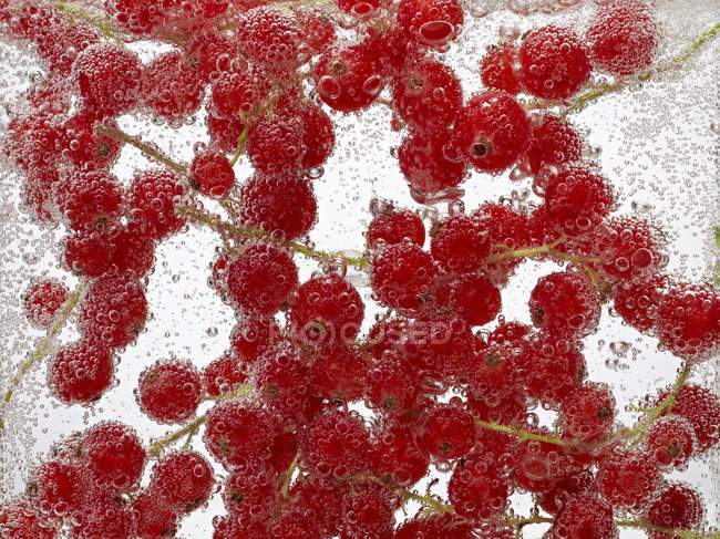 Groselhas vermelhas com água e bolhas — Fotografia de Stock