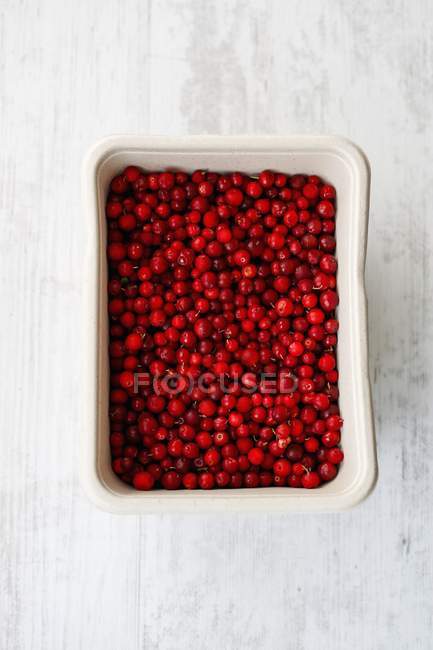 Piatto di mirtilli rossi freschi — Foto stock