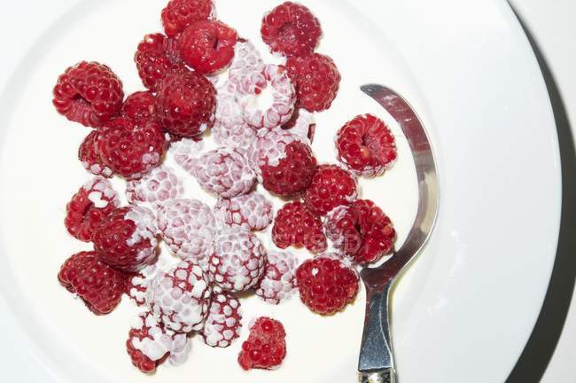 Fresh raspberries in milk — Stock Photo