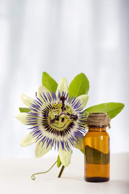 Vista close-up de uma garrafa de óleo essencial passionflower e passionflower — Fotografia de Stock