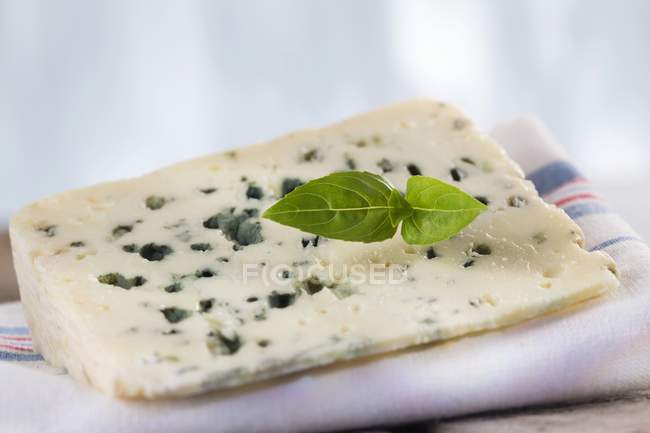 Slice of Roquefort Marival — Stock Photo